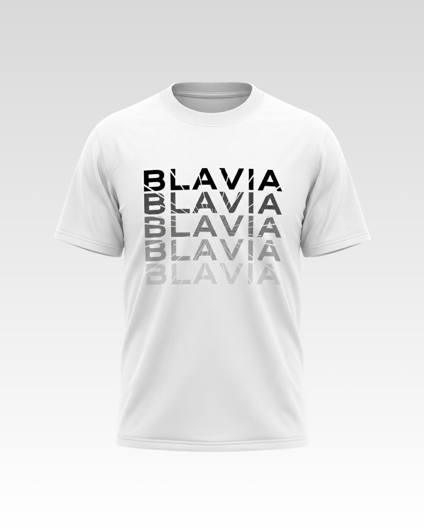 BLAVIA GRADIENT T-SHIRT