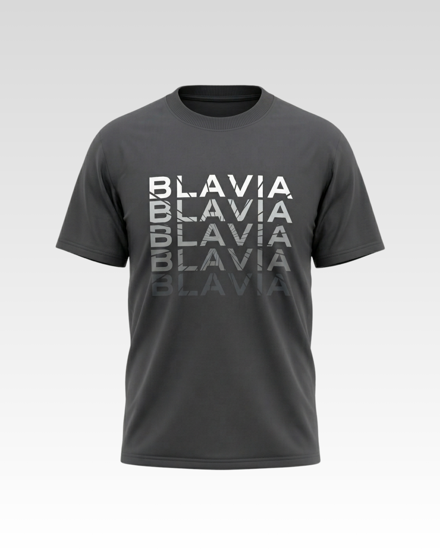 BLAVIA GRADIENT T-SHIRT