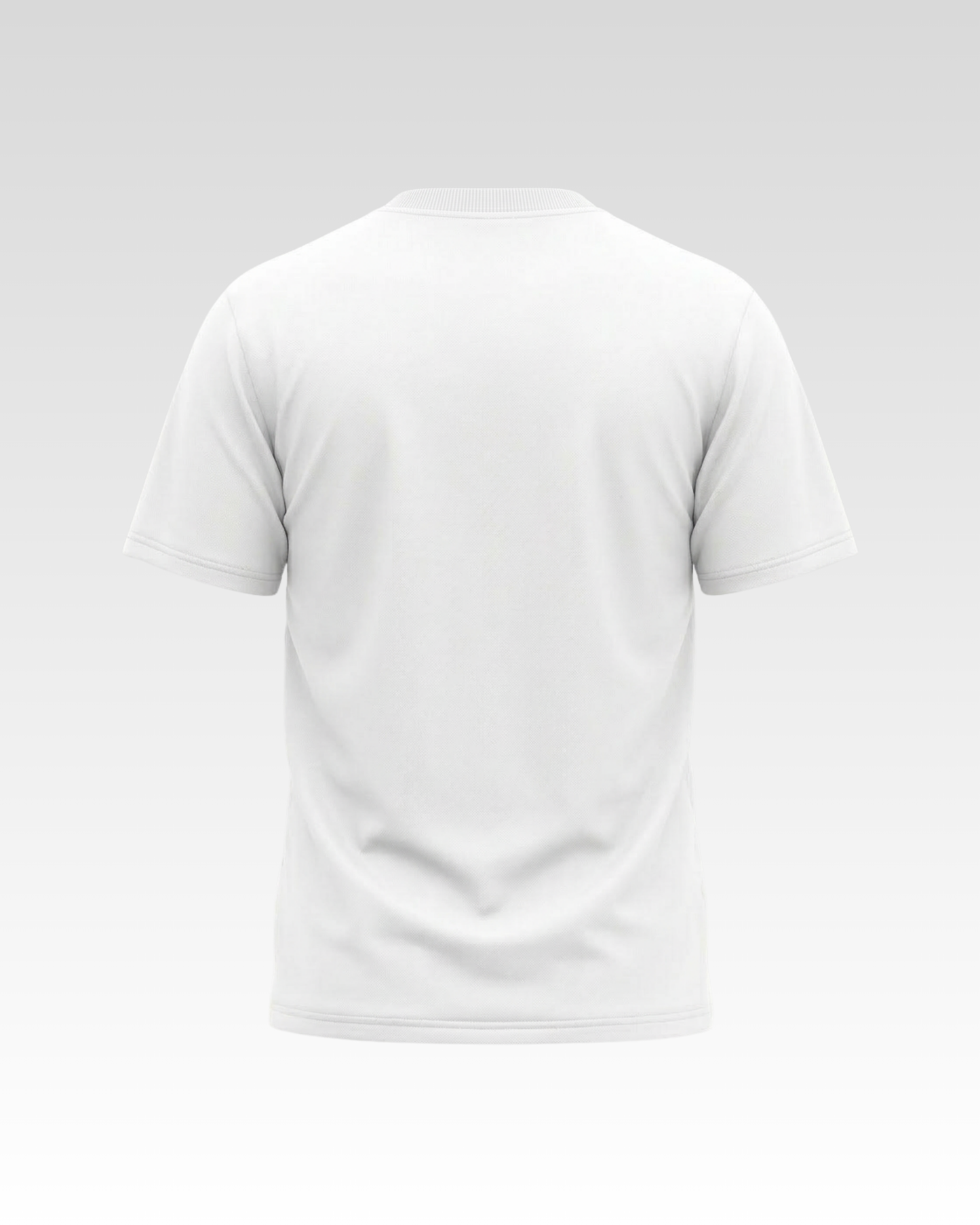 BLAVIA GRADIENT T-SHIRT